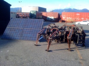 Mondo Spider with Solar - Leigh Christie